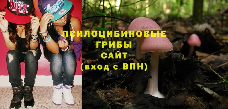 как найти закладки  Анадырь  Псилоцибиновые грибы MAGIC MUSHROOMS 